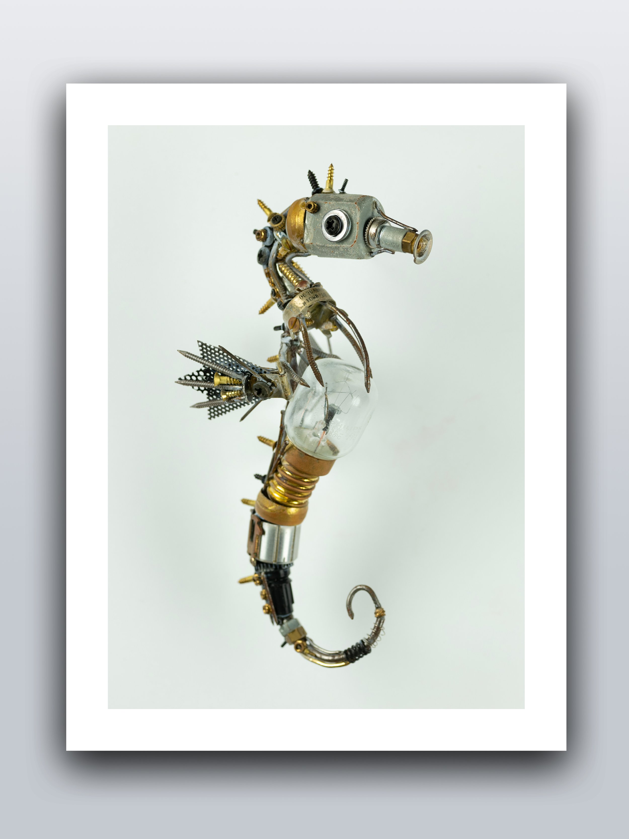 Seahorse Style 2 — Zak Miskry Creations